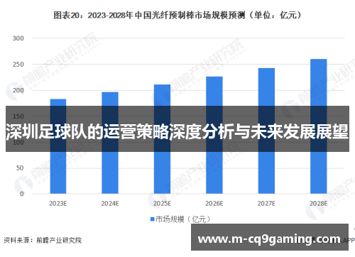 深圳足球队的运营策略深度分析与未来发展展望