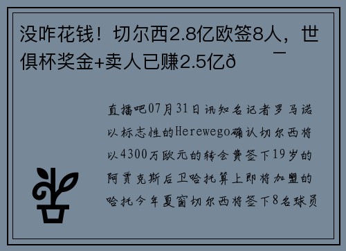 没咋花钱！切尔西2.8亿欧签8人，世俱杯奖金+卖人已赚2.5亿😯